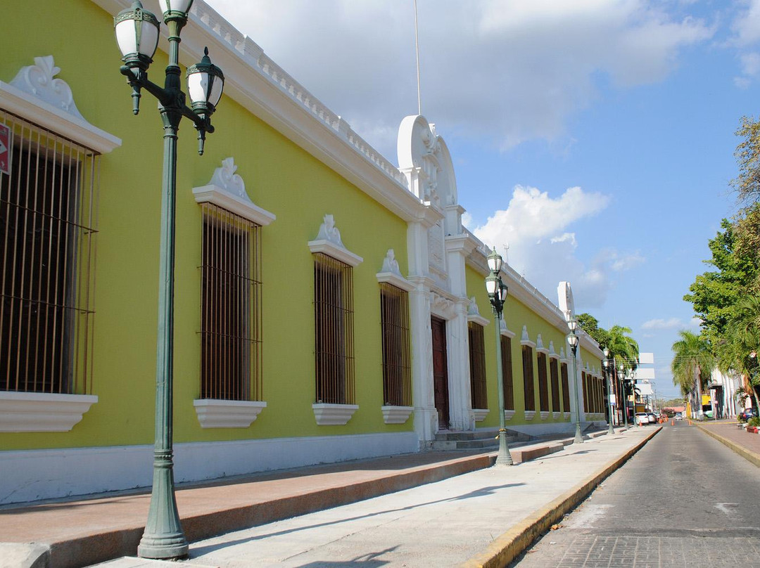 Palacio del Marquez del Pumar景点图片