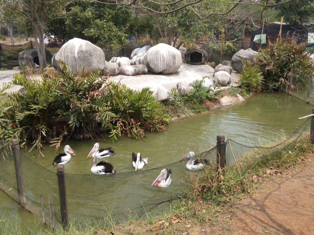 Ocean Ecopark Ancol景点图片