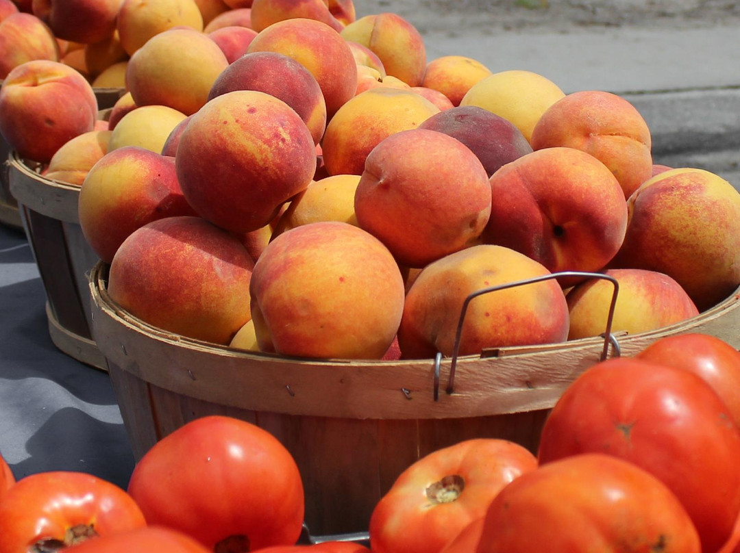 Farmers Market of Bluffton景点图片