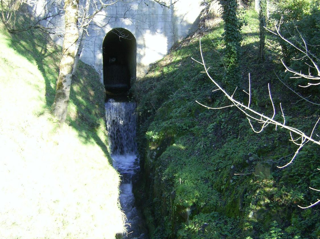 Lac de Saint-Ferréol景点图片