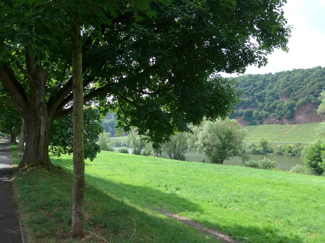 Moselle Valley景点图片