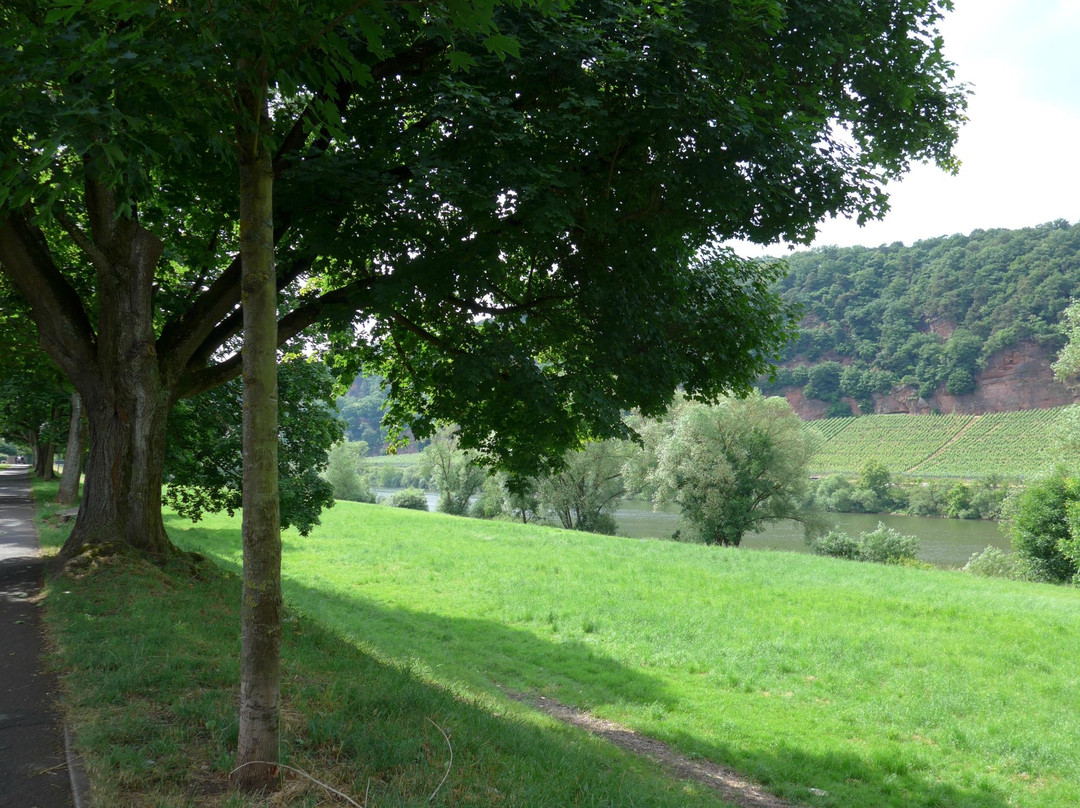 Grevenmacher旅游景点-Moselle Valley