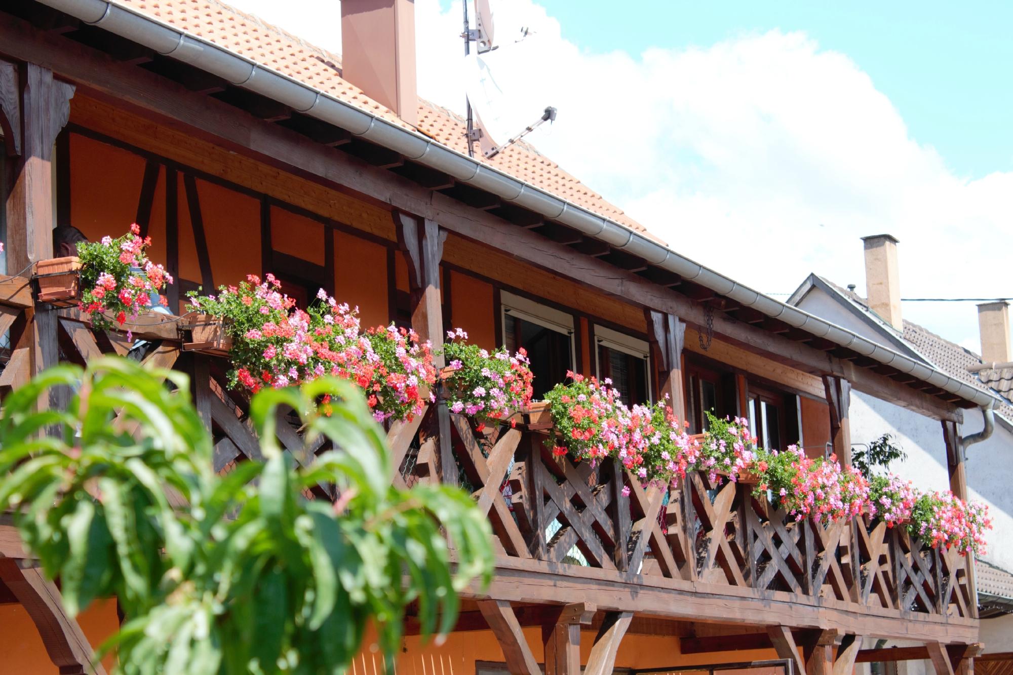 Chambres d'Hotes Arnold-官方