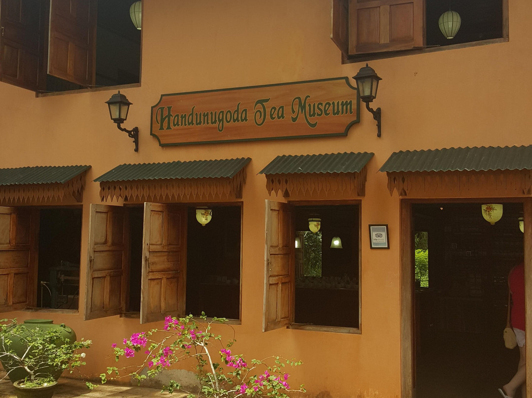 Handunugoda Tea Estate景点图片