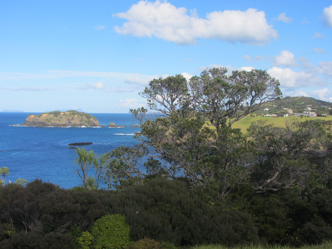 Tutukaka Headland-Tutukaka必去景点