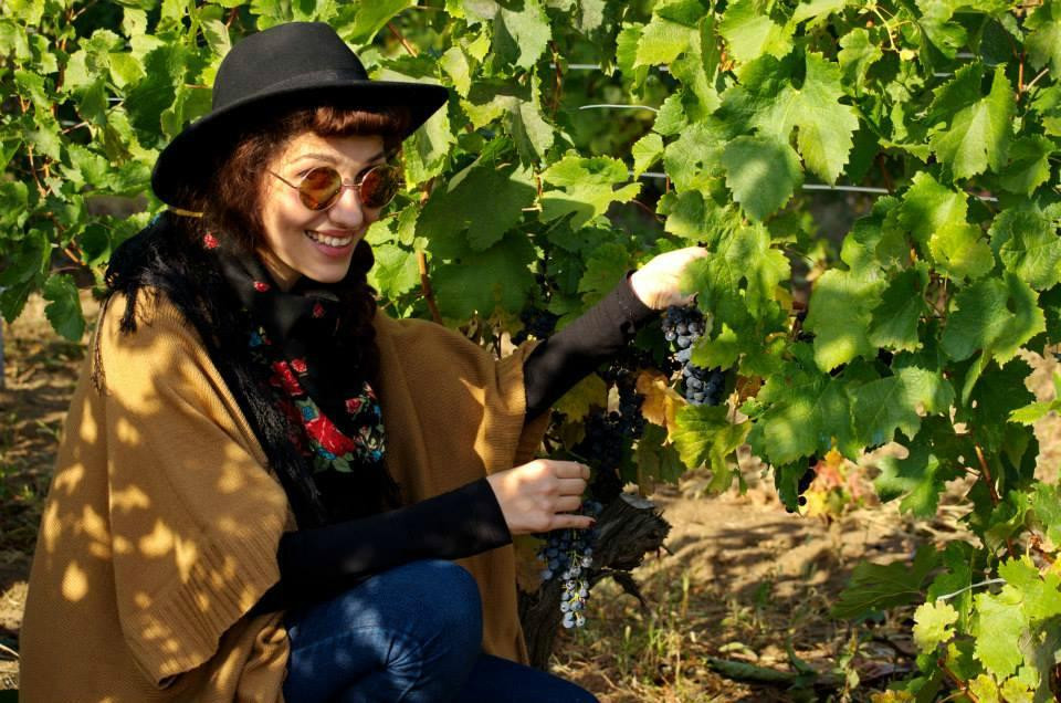 Rotenberg Winery景点图片