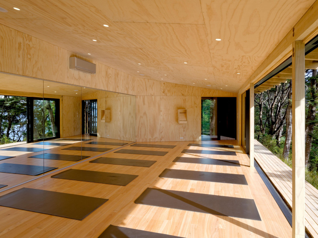 Pause Yoga景点图片