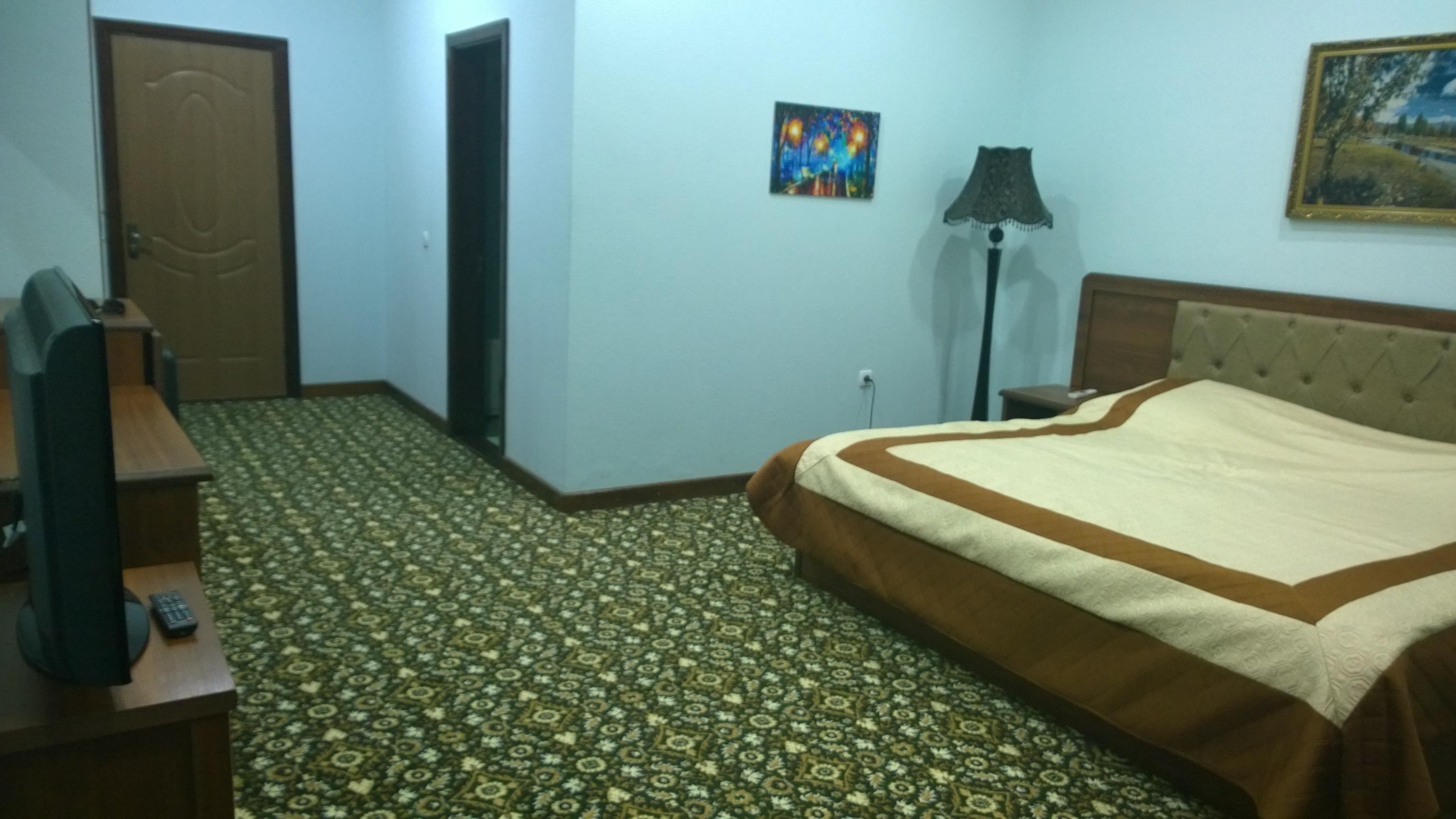 Hotel Vatan-客卧