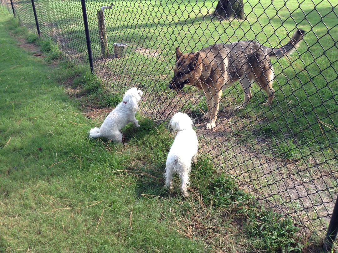 Nassau Humane Society Dog Park-费尔南迪纳岛必去景点