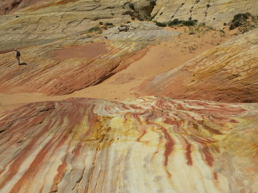 Big Horn Canyon景点图片