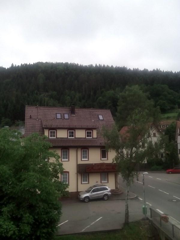 Gasthaus Loewen-酒店景观