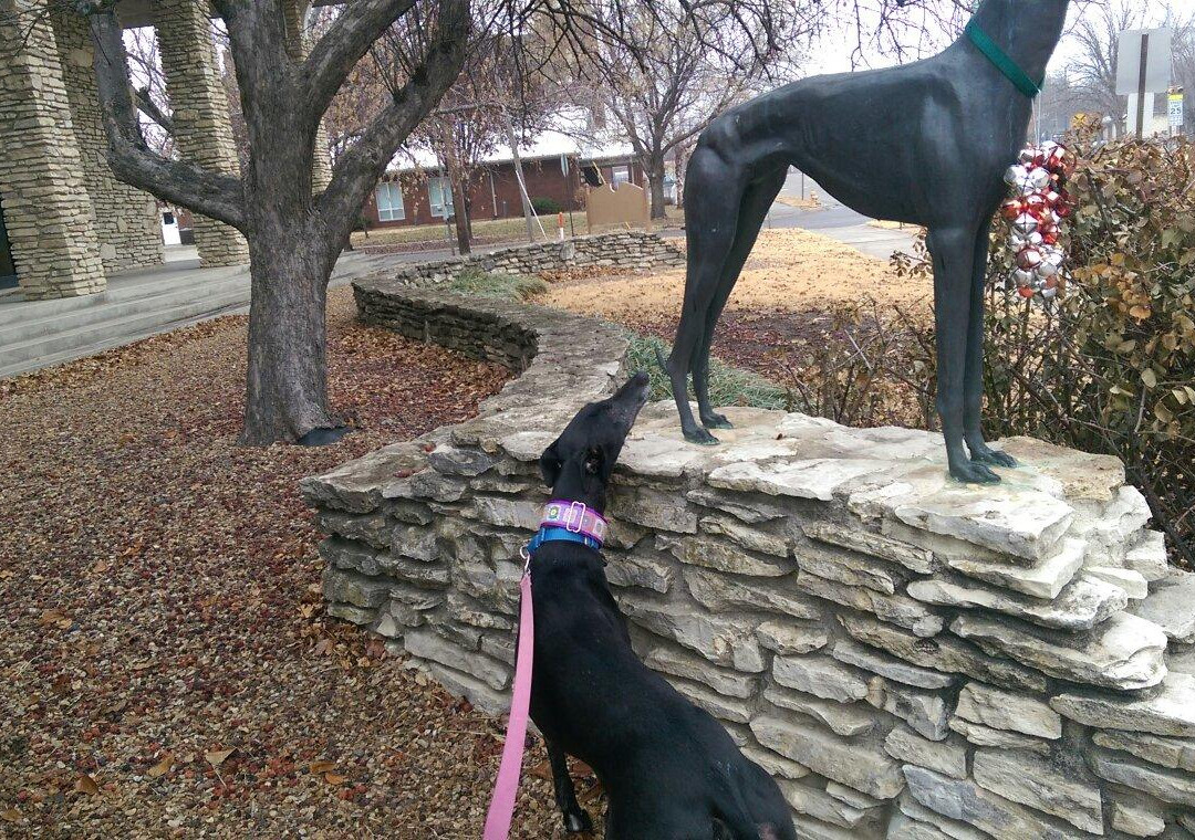 Greyhound Hall of Fame-Abilene必去景点
