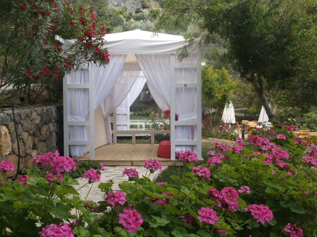 Suncity Beach Club-厄吕代尼兹必去景点