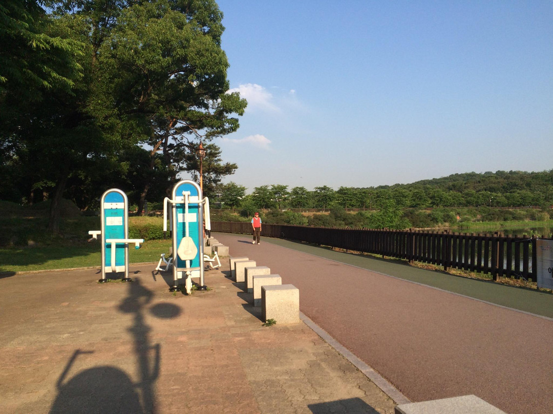 Book Theme Park-城南市必去景点
