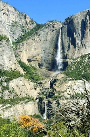Yosemite Mountaineering School景点图片