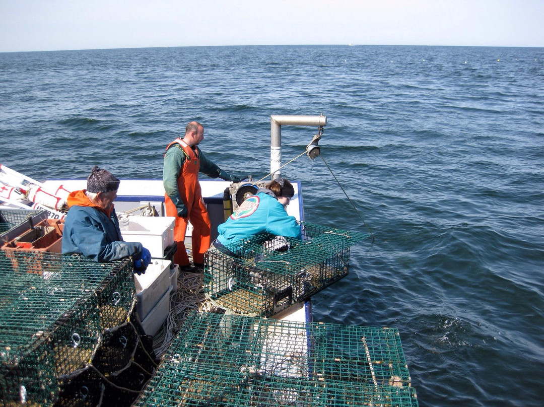 Shippagan Lighthouse-Shippagan必去景点