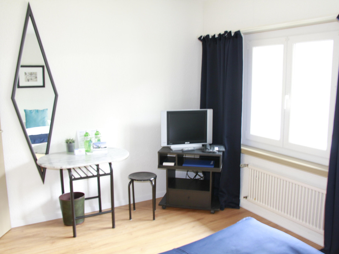 Gasthof Zum Schutzen Hotel主图