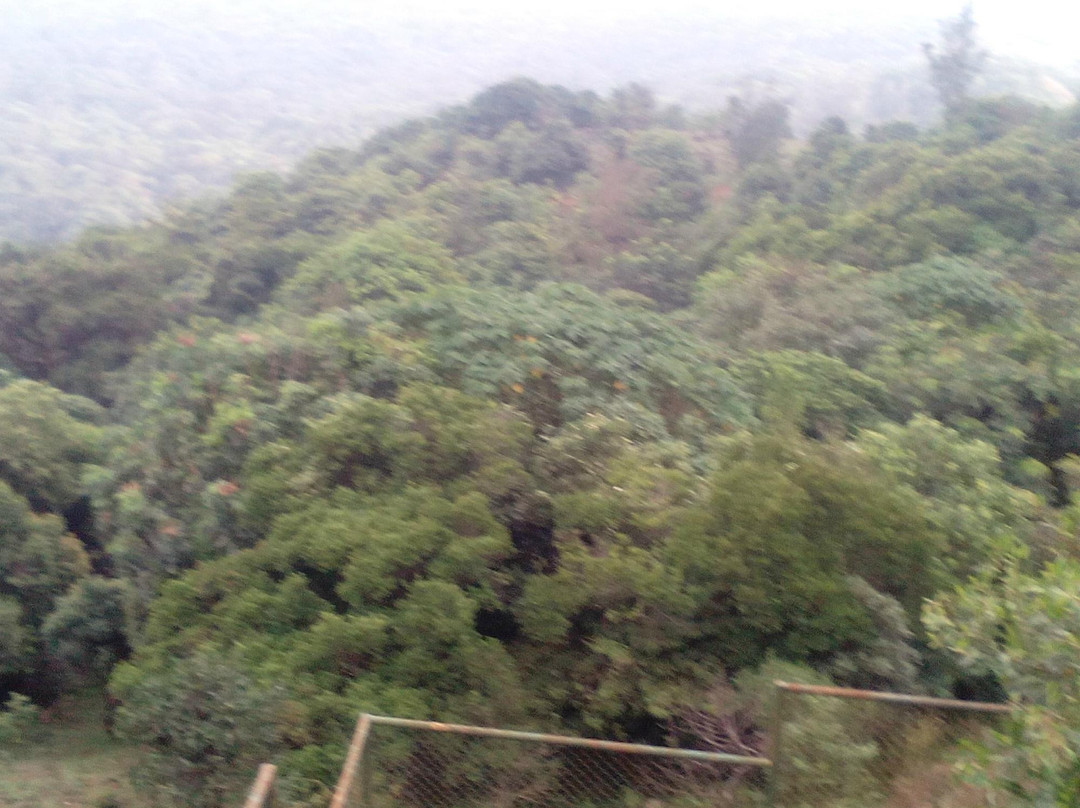 Madikeri Taluk旅游攻略图片