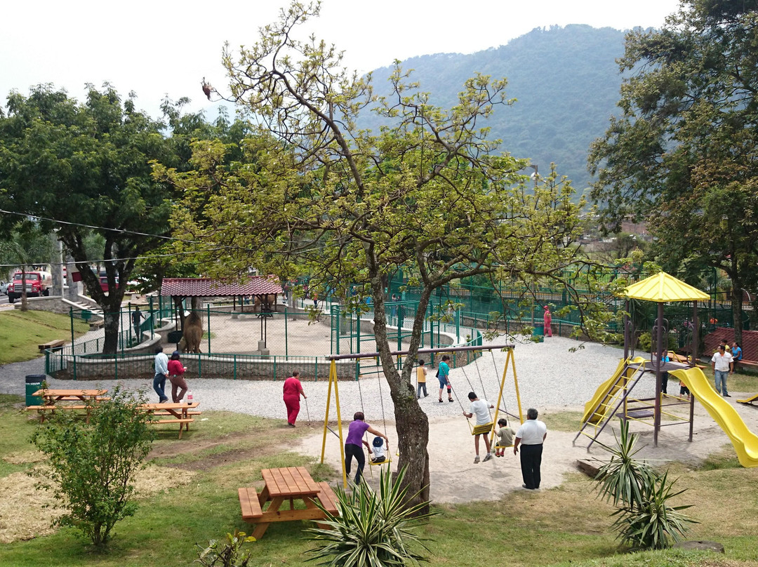 Ecoparque Rio景点图片
