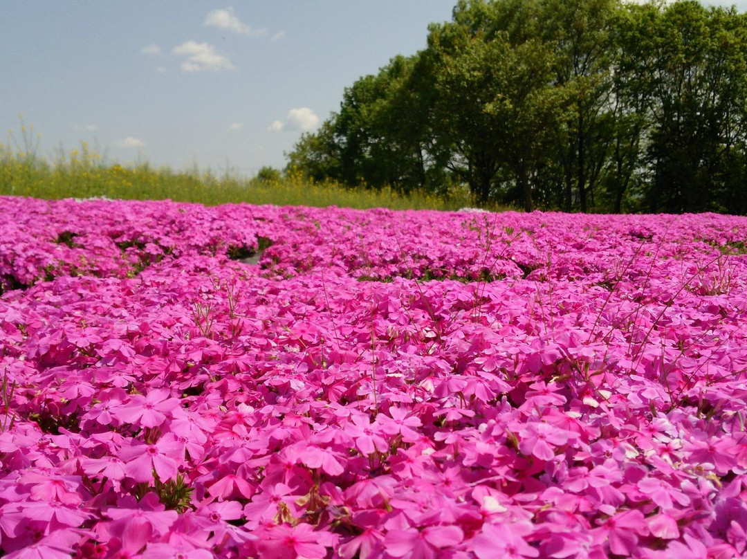 Kamu no Sato Rokutan-世罗町必去景点