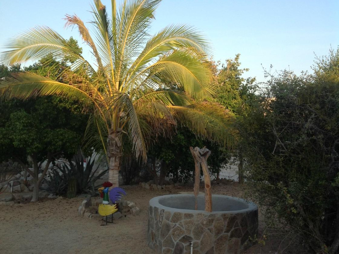 Sea Sniper Baja-El Sargento必去景点