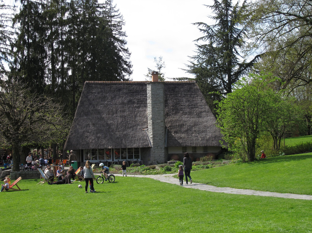 Park im Grüene-Rueschlikon必去景点