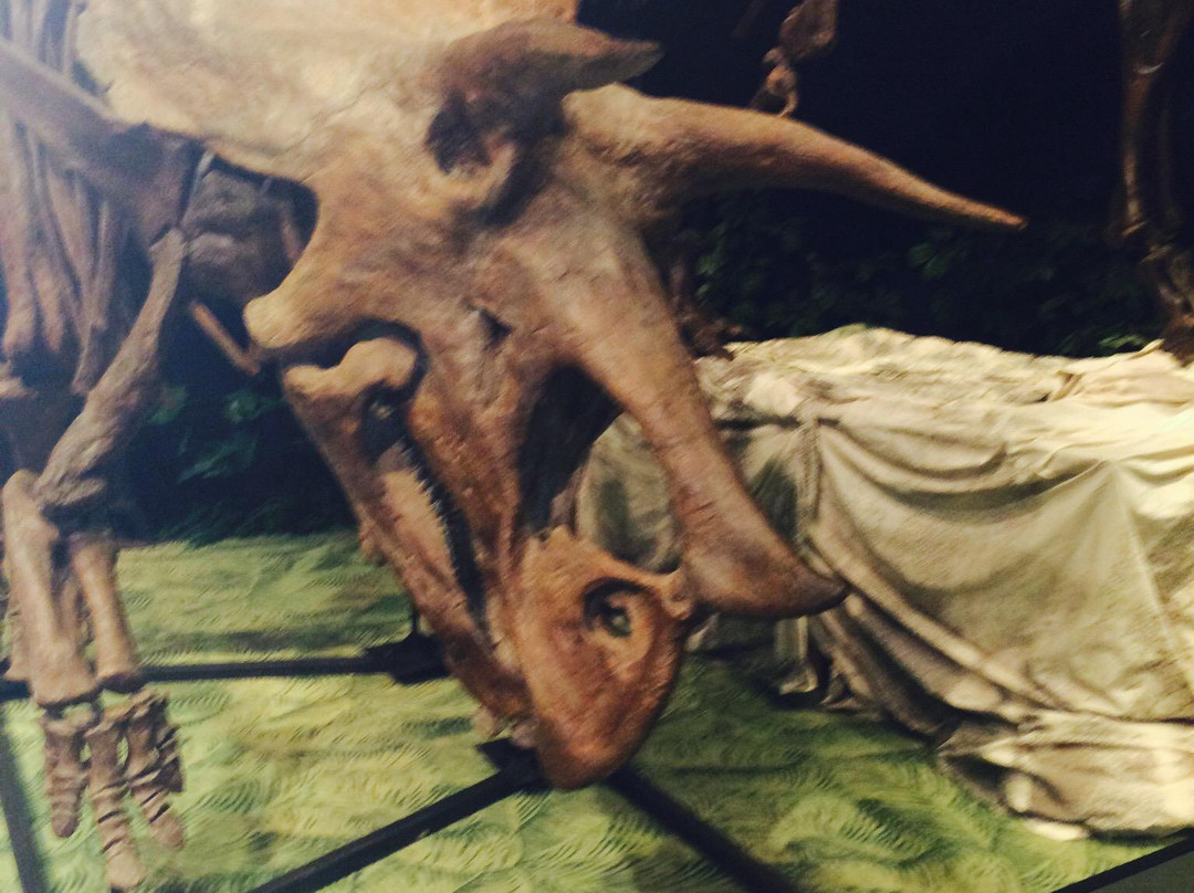 奥兰多科学中心-奥兰多必去景点