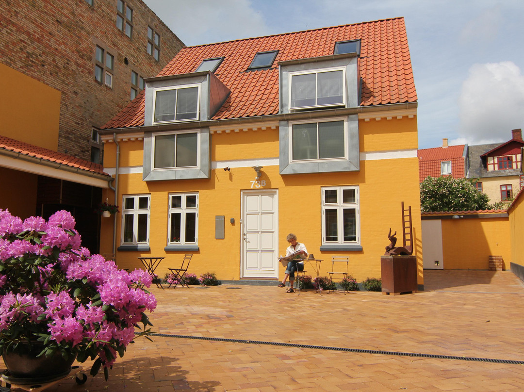 布隆曼斯里斯特酒店住宿-Odense City B&B