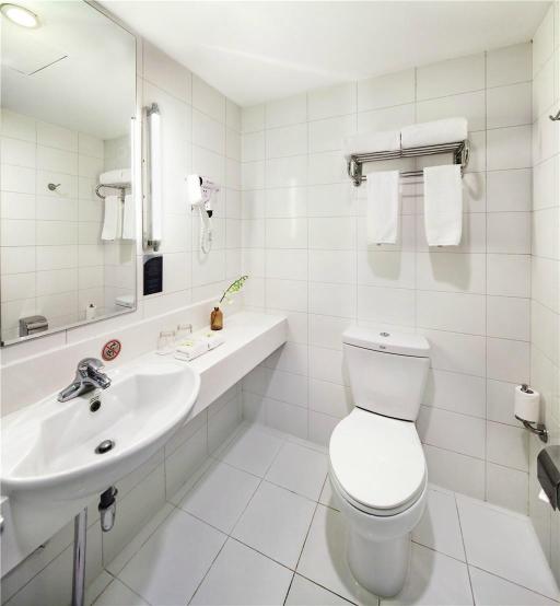 北京望京智选假日酒店-浴室