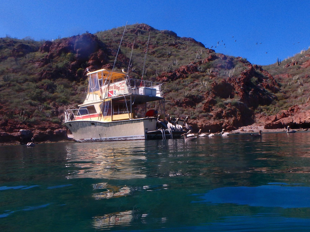 Gary's Dive shop-圣卡洛斯必去景点