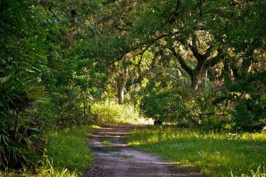 Happehatchee Center-埃斯特罗必去景点