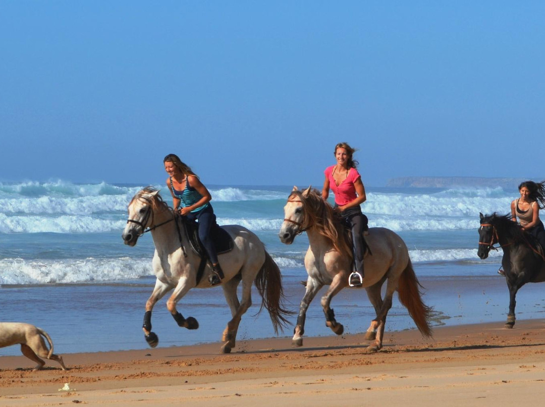Algarve Horse Riding景点图片