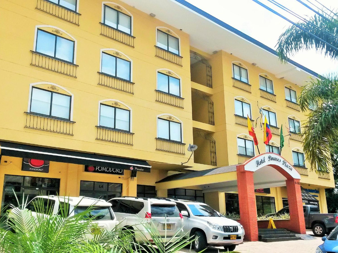 Hotel Pinares Plaza主图