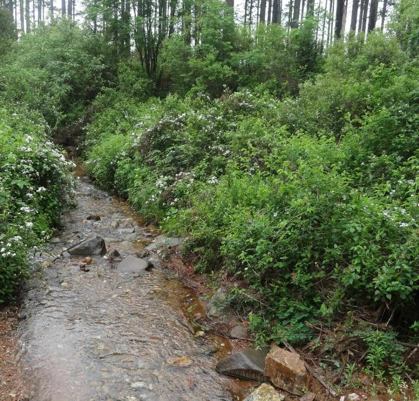 Castle Rock Trails-沙比必去景点