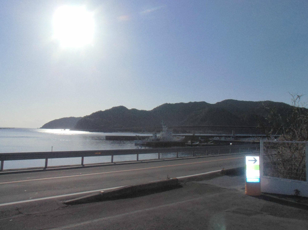 Yokonami Kuroshima Line-须崎市必去景点