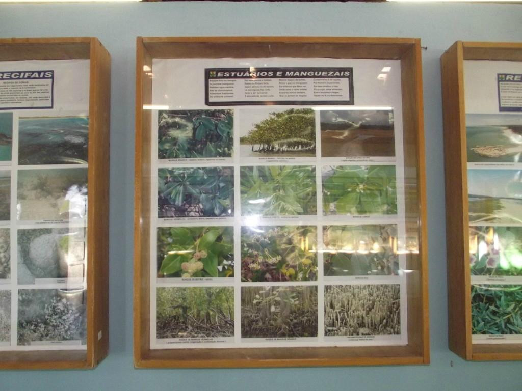 Una Museum-São José da Coroa Grande必去景点