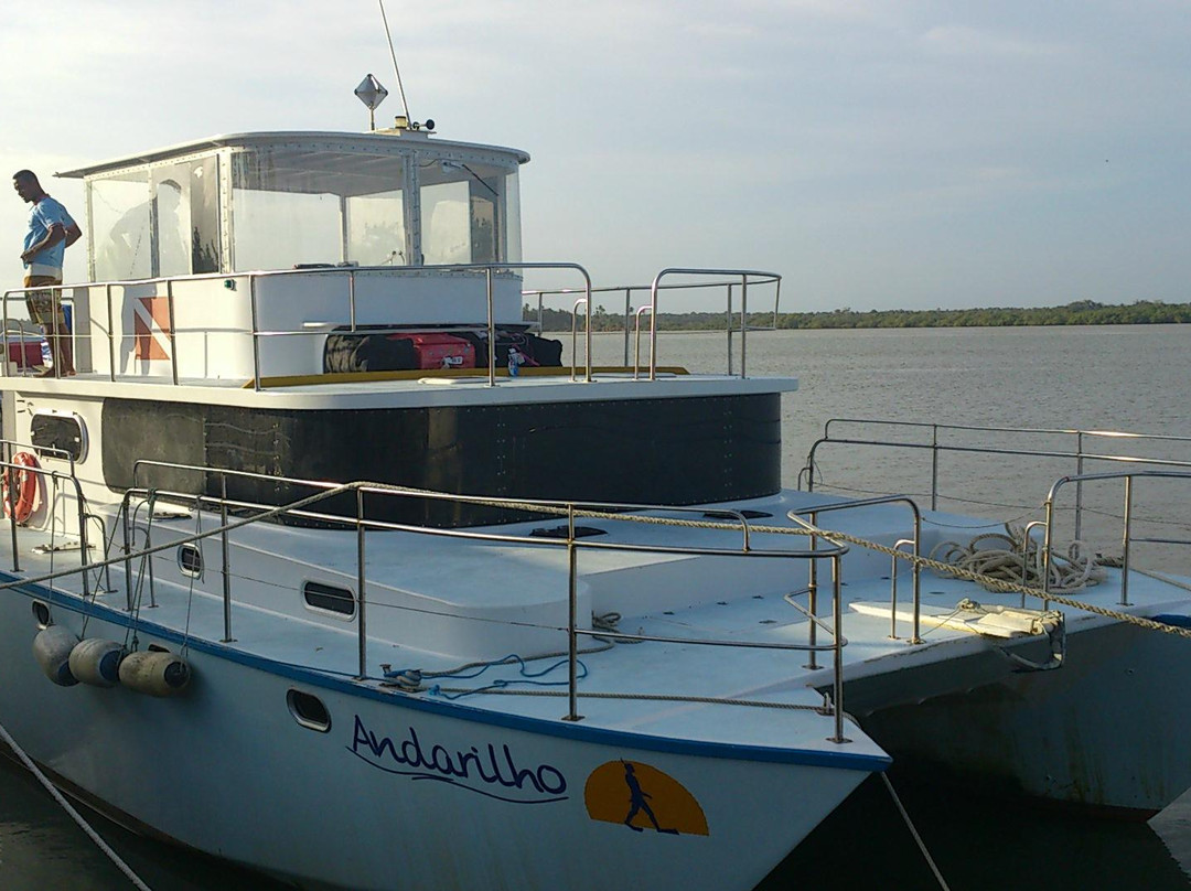 Horizonte Aberto - Catamarans