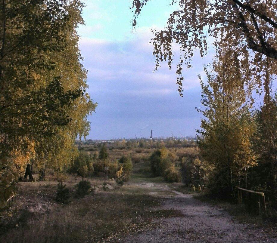 Forest Park of Gagarin-秋明必去景点