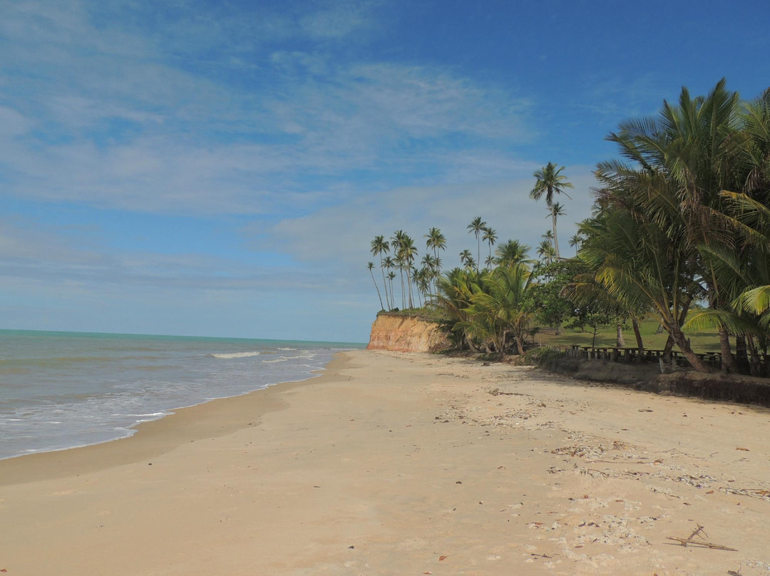 Imbassuaba Beach-Cumuruxatiba必去景点