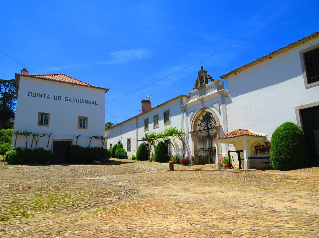 Quinta do Sanguinhal景点图片