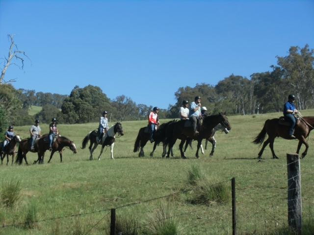 McCormack's Mountain Valley Trail Rides- Day Tours-Merrijig必去景点