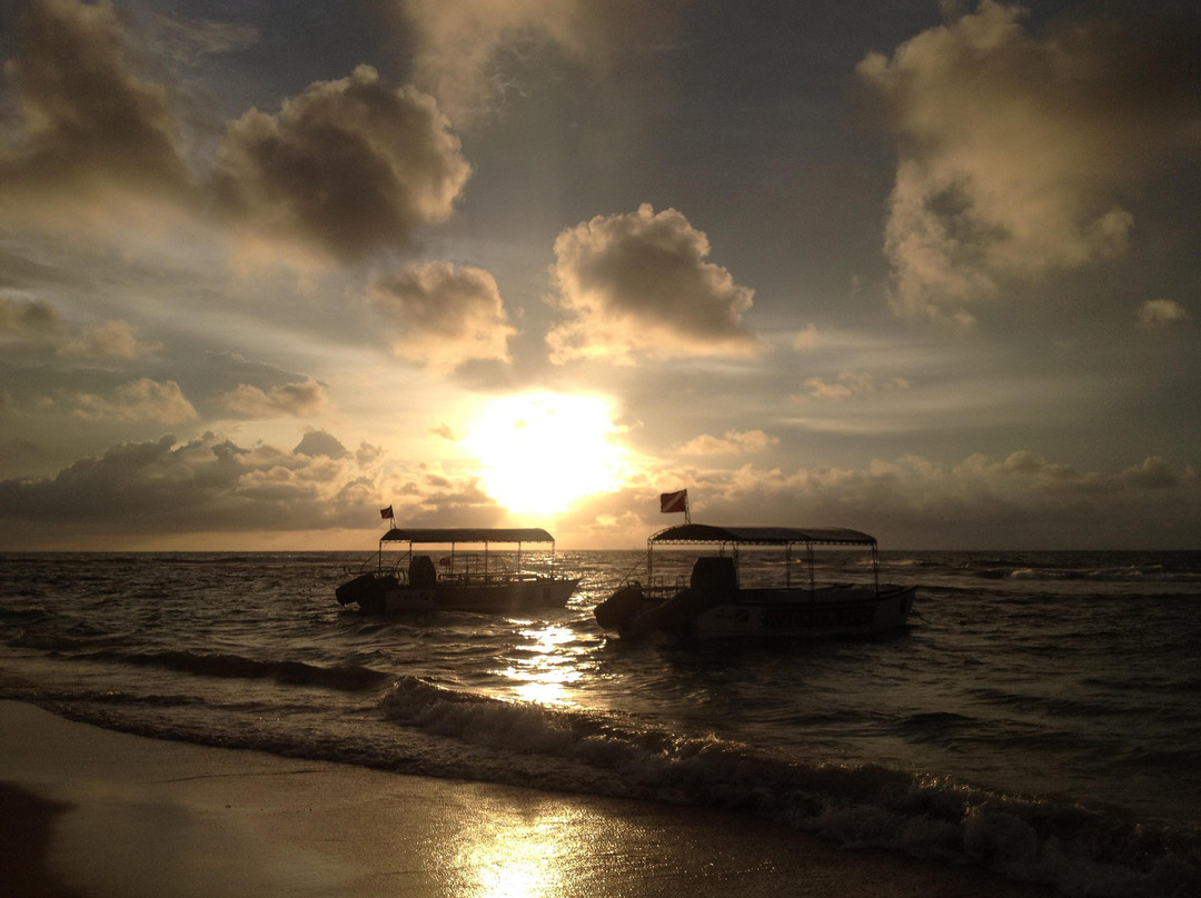 Poseidon Diving Station Sri Lanka-希克杜沃必去景点