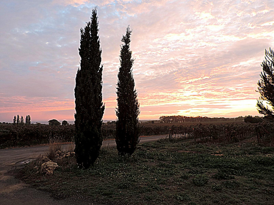 Domaine Montrose景点图片