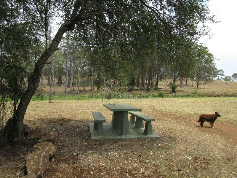Yarraman Weir and Station Park景点图片