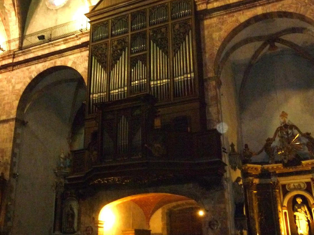 Eglise Saint-Etienne景点图片