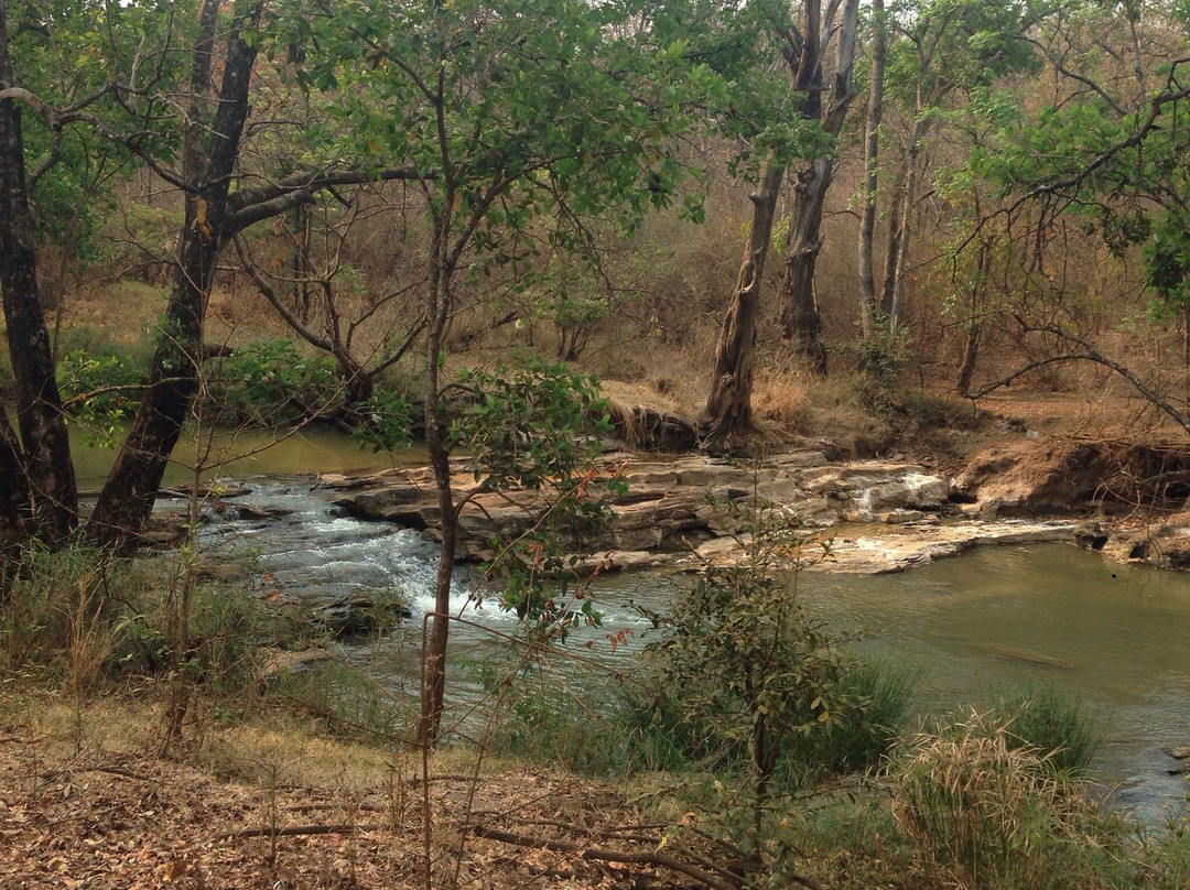 Nature Sanctuary-里朗威必去景点