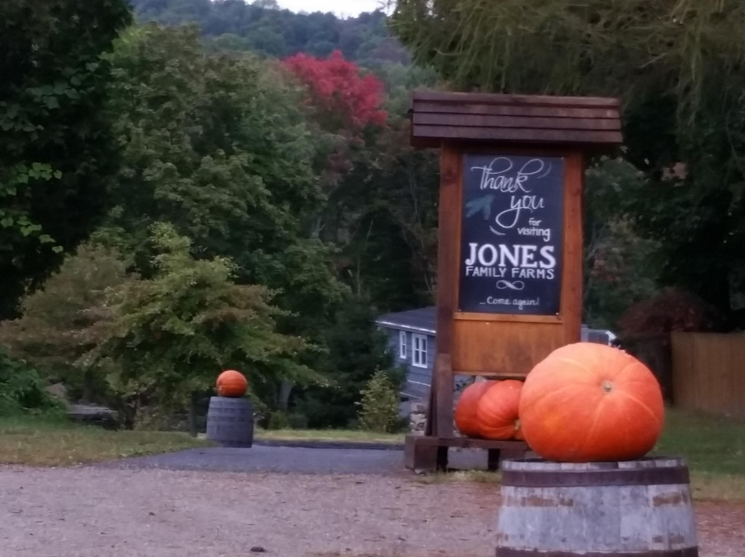 Jones Family Farm-谢尔顿必去景点
