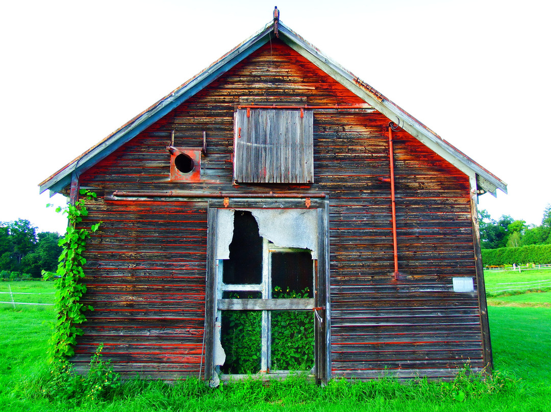 Park–McCullough Historic House-本宁顿必去景点