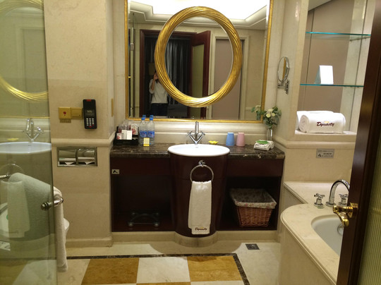 国尊王朝大饭店主图