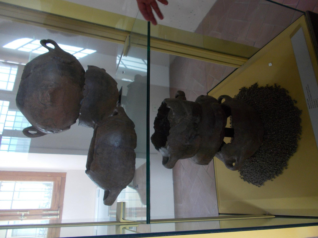 Antiquarium D. Ryolo景点图片